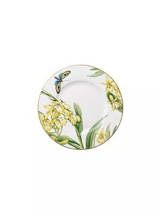 VILLEROY & BOCH SIGNATURE | Frühstücksteller "Amazonia Anmut" 22cm | 