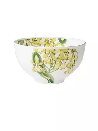 VILLEROY & BOCH SIGNATURE | Schüssel - Bol "Amazonia" 13cm | 