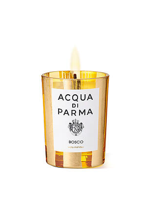 ACQUA DI PARMA | Bosco Candle 200g