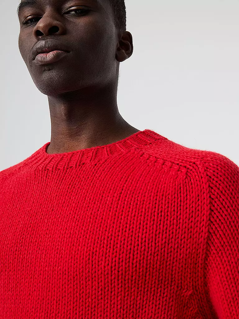 ALPHATAURI | Pullover FINAW | rot