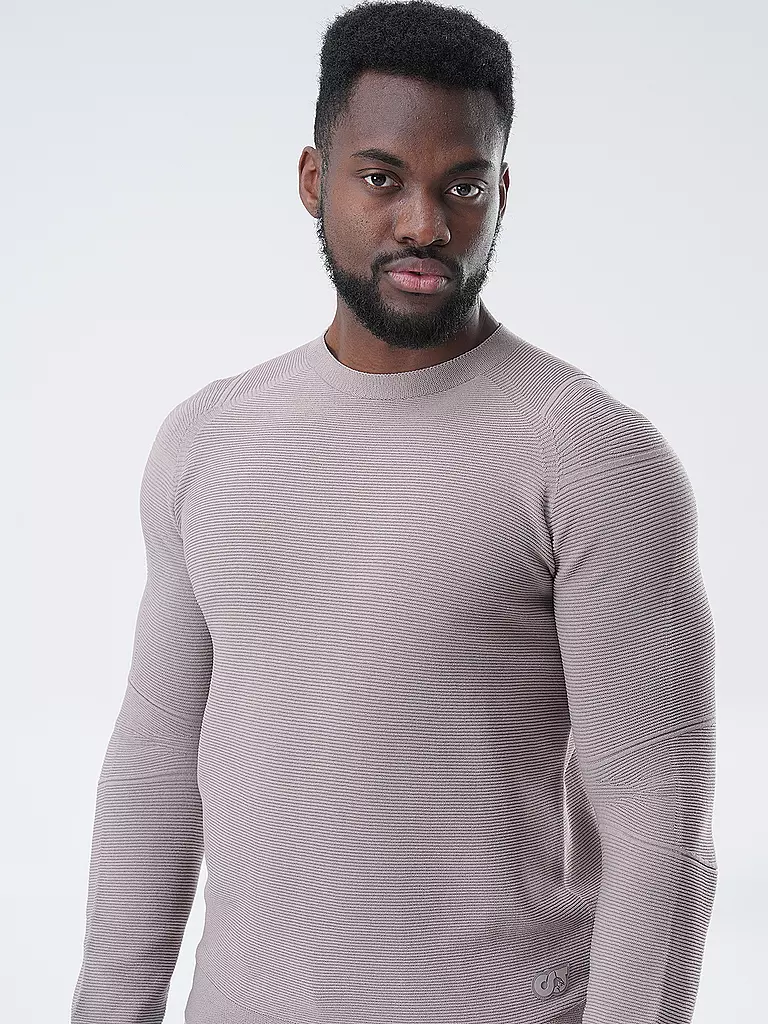 ALPHATAURI | Pullover FOSOP  | grau