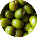 Modefarben-Olive-Icons-512×512