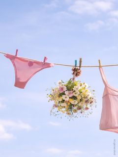 Rosa Unterwäsche und ein Strauß Wildblumen hängen an einer Wäscheleine mit Wäscheklammern vor einem blauen Himmel.