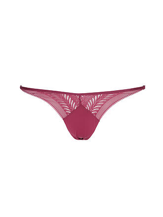 CALVIN KLEIN | String purple