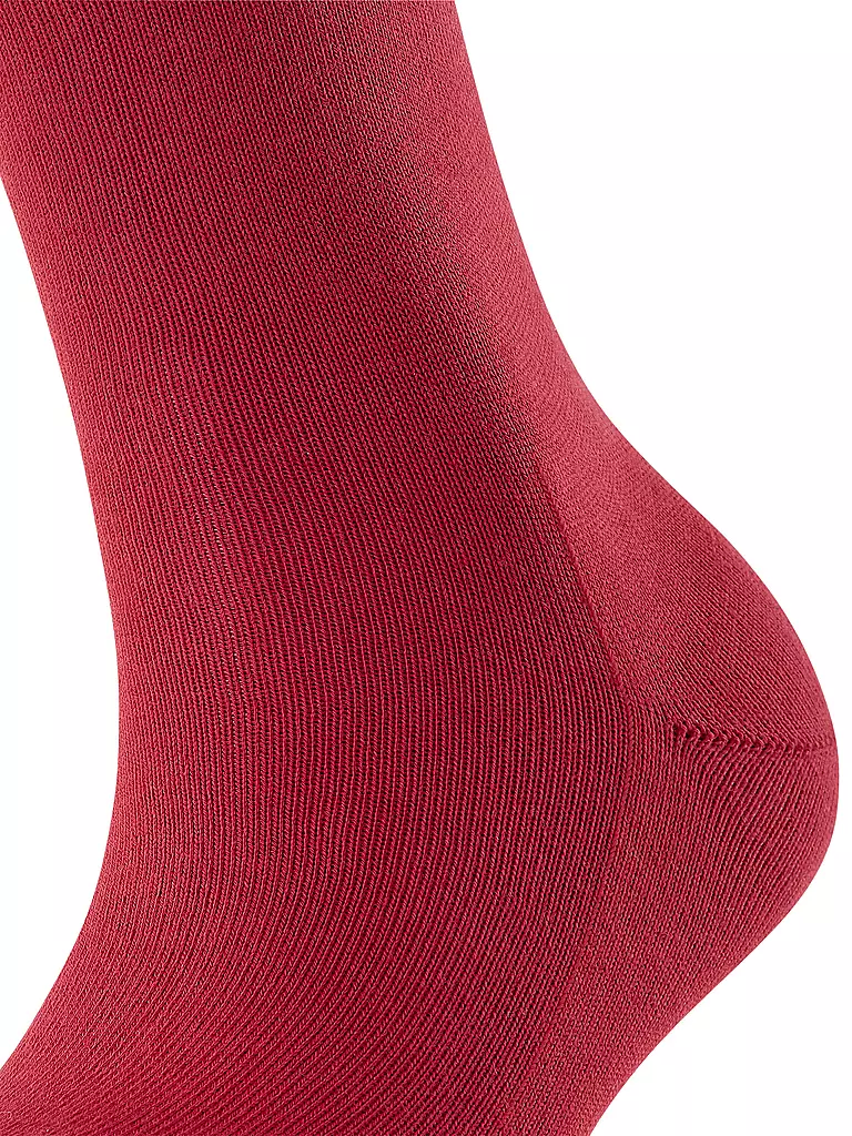 FALKE | Socken FAMILY scarlet  | rot