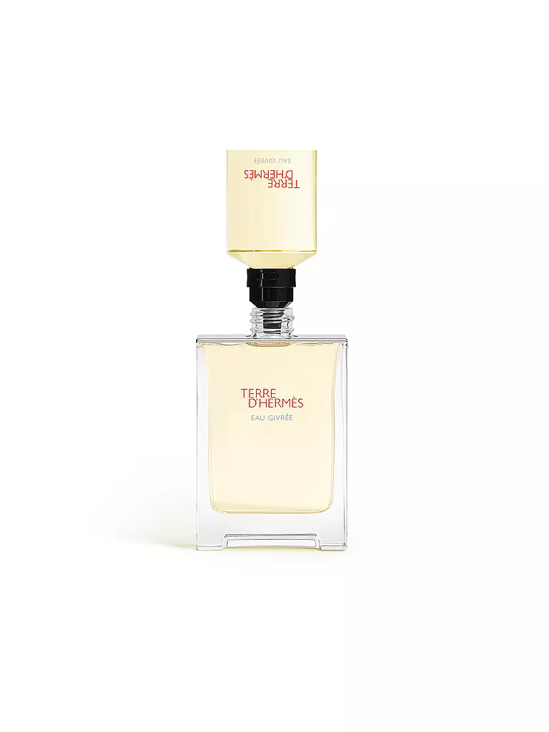 HERMÈS | Terre d'Hermès Eau Givrée Eau de Parfum Refillable Spray 100ml | keine Farbe