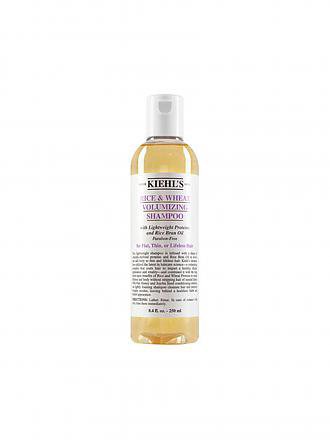 KIEHL'S | Rice & Wheat Volumizing Shampoo 500ml