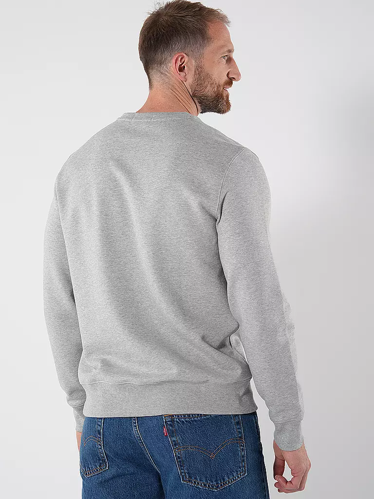 POLO RALPH LAUREN | Sweater | grau