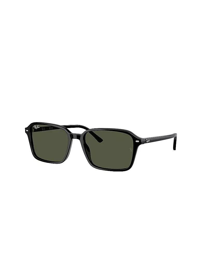 RAY BAN | Sonnenbrille 0RB2231/58 | schwarz