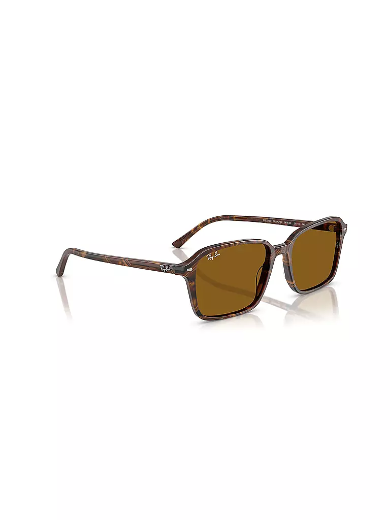 RAY BAN | Sonnenbrille 0RB2231/58 | schwarz