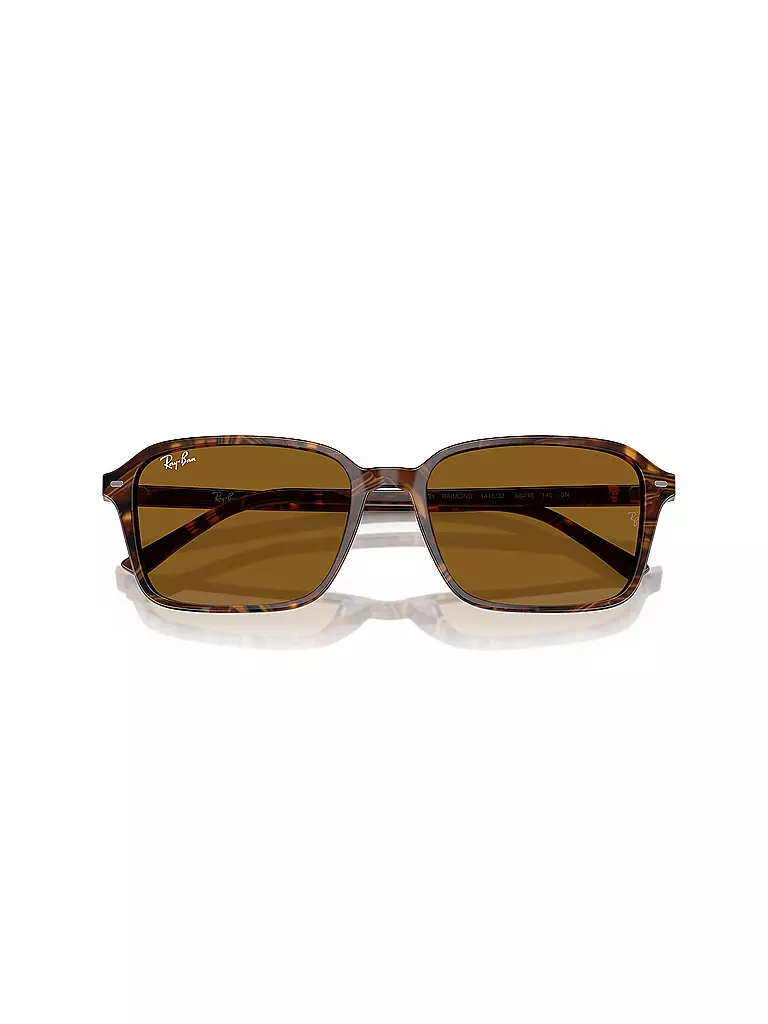 RAY BAN | Sonnenbrille 0RB2231/58 | schwarz