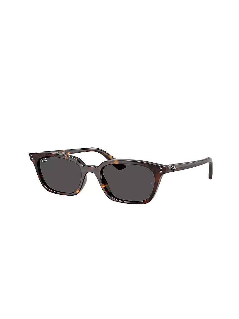 RAY BAN | Sonnenbrille 0RB4456/53 | braun