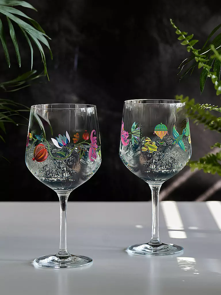 RITZENHOFF | Gin Glas 2-er Set BOTANIC LIGHTS #9 #10 Olaf Hajek 2024 | bunt