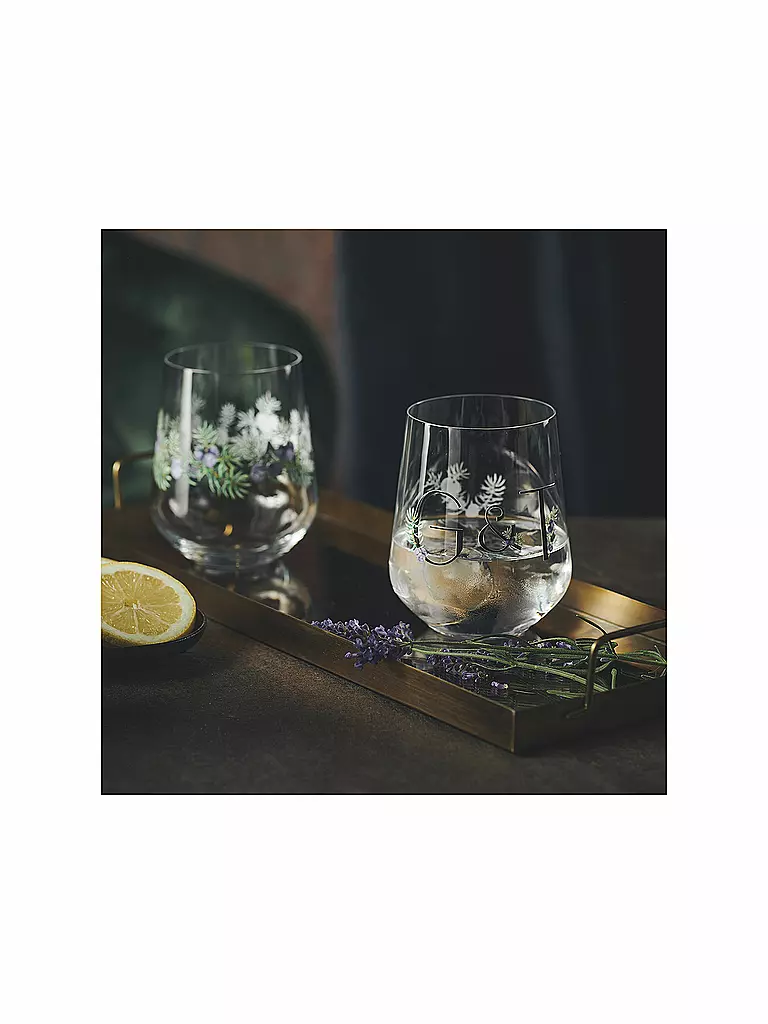 RITZENHOFF | Gin Tumbler 2-er Set BOTANIC LIGHTS  #5 #6 Design Team | bunt