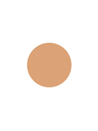 SENSAI | Cellular Performance Total Finish Foundation ( TF13 Warm Beige ) 