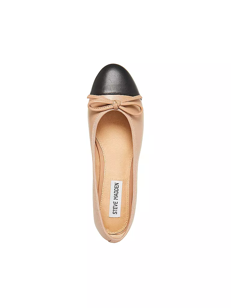 STEVE MADDEN | Ballerina ELLISON | beige