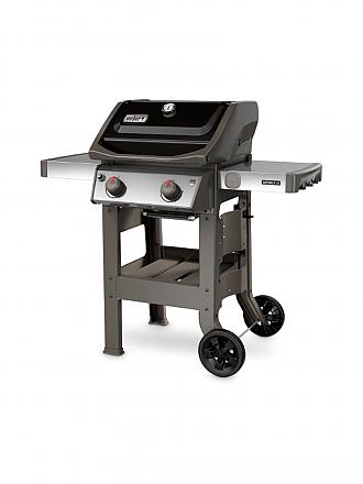 WEBER GRILL | Gasgrill 